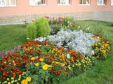 Территория санатория «Долина Нарзанов» г. Кисловодск   цветники фото 